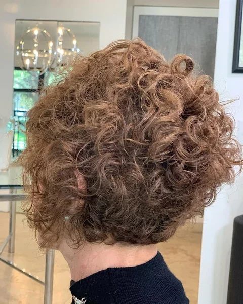 Copper Curly Pixie Bob
